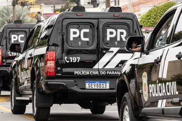 Trabalho intenso do NUCRIA de Cascavel envolve investiga&ccedil;&atilde;o especializada