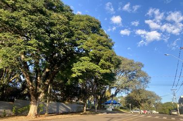 Ap&oacute;s per&iacute;odo de frio intenso, sol e c&eacute;u azul voltam na regi&atilde;o Oeste 