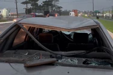 Atropelamento termina em morte na BR 277 em Cascavel 