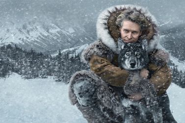 Filme "Togo" mostra jornada heróica de cão e tutor através do frio do Alasca