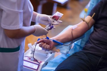 Hemepar de Cianorte precisa de doadores de sangue O+, O- e A- com urgência
