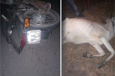 Motociclista morre ao atropelar uma vaca no perímetro urbano da Rodovia MA 123 