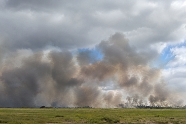 Inc&ecirc;ndio &eacute; registrado em &aacute;rea de vegeta&ccedil;&atilde;o pr&oacute;xima &agrave; pista entre S&iacute;tio do Conde e Centro