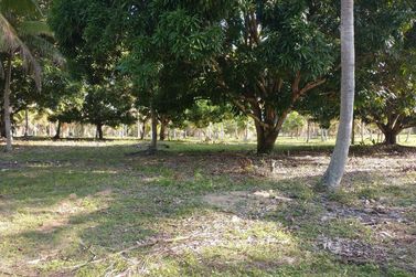 Fazenda &agrave; venda - 827640m&sup2; - Rodovia