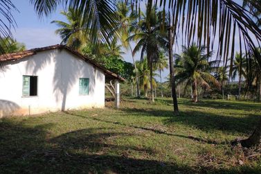 Fazenda &agrave; venda - 827640m&sup2; - Rodovia
