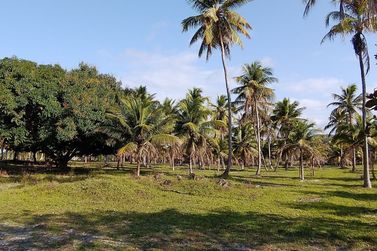 Fazenda &agrave; venda - 827640m&sup2; - Rodovia