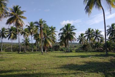 Fazenda &agrave; venda - 827640m&sup2; - Rodovia