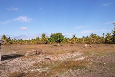 Fazenda &agrave; venda - 130000m&sup2; - Sitio do Conde