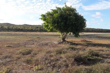 Fazenda &agrave; venda - 130000m&sup2; - Sitio do Conde