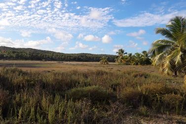 Fazenda &agrave; venda - 130000m&sup2; - Sitio do Conde