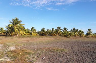 Fazenda &agrave; venda - 130000m&sup2; - Sitio do Conde