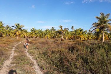 Fazenda &agrave; venda - 130000m&sup2; - Sitio do Conde