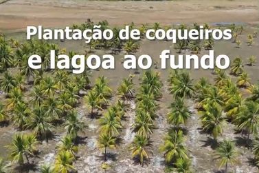 Fazenda &agrave; venda - 130000m&sup2; - Sitio do Conde