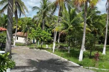 Fazenda &agrave; venda - 601128m&sup2; - Zona Rural