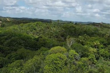 Fazenda &agrave; venda - 601128m&sup2; - Zona Rural