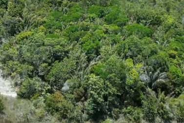 Fazenda &agrave; venda - 1513000m&sup2; - Mangabeira