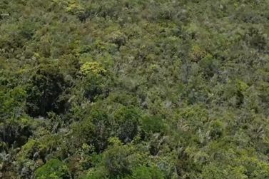 Fazenda &agrave; venda - 1513000m&sup2; - Mangabeira