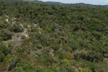 Fazenda &agrave; venda - 1513000m&sup2; - Mangabeira