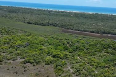 Fazenda &agrave; venda - 1513000m&sup2; - Mangabeira