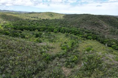 Fazenda &agrave; venda - 1582335m&sup2; - Rodovia