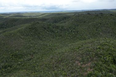 Fazenda &agrave; venda - 1582335m&sup2; - Rodovia