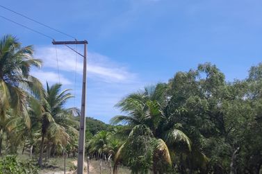 Fazenda &agrave; venda - 47m&sup2; - Centro