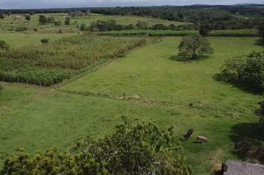 Fazenda &agrave; venda - 86684m&sup2; - Afligidos