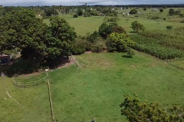 Fazenda &agrave; venda - 86684m&sup2; - Afligidos