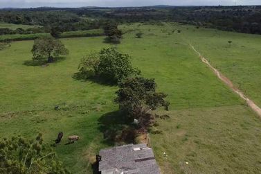 Fazenda &agrave; venda - 86684m&sup2; - Afligidos