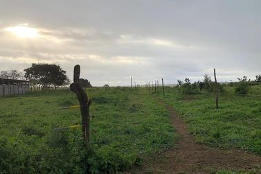 Fazenda &agrave; venda - 86684m&sup2; - Afligidos