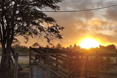 Fazenda &agrave; venda - 86684m&sup2; - Afligidos