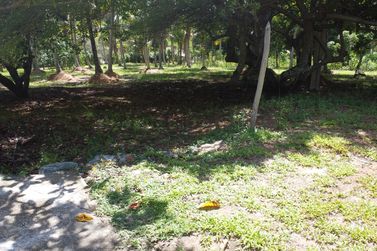Ch&aacute;cara &agrave; venda - 141217m&sup2; - Riacho Seco