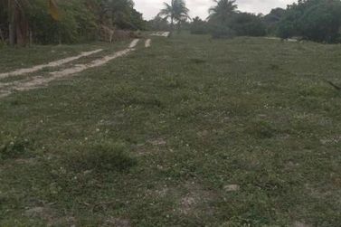 Terreno &agrave; venda - 3161107m&sup2; - Coqueiro