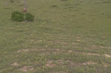 Terreno &agrave; venda - 3161107m&sup2; - Coqueiro