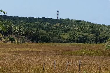 Ch&aacute;cara &agrave; venda - 60m&sup2; - Riacho Seco