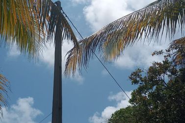 Ch&aacute;cara &agrave; venda - 60m&sup2; - Riacho Seco