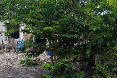 Casa &agrave; venda - 300m&sup2; - Centro