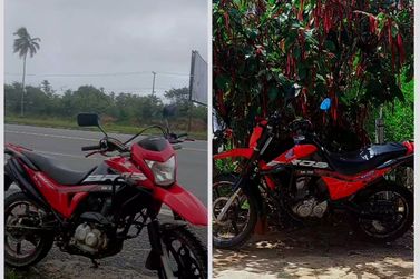 HONDA NXR