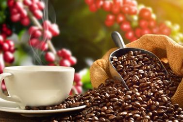 Dia Mundial do Café, conheça alguns fatos sobre uma das bebidas mais amadas