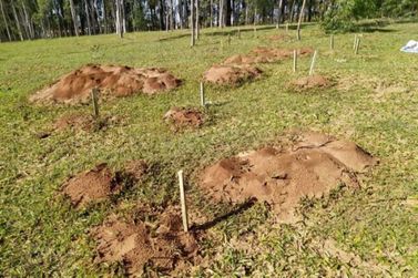 IDR-Paraná de Umuarama intensifica capacitação contra a formiga cortadeira
