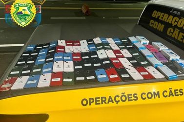 Polícia apreende 70 iPhones com passageiro de ônibus, em Cruzeiro do Oeste