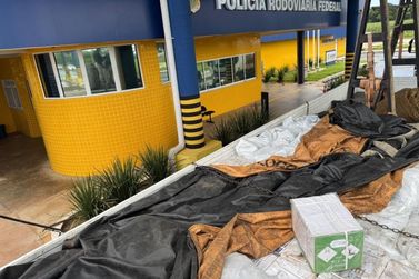 PRF apreende 1,1 tonelada de agrot&oacute;xicos contrabandeados