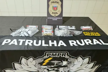 A&ccedil;&atilde;o integrada das pol&iacute;cias resulta em pris&atilde;o e apreens&atilde;o de rev&oacute;lveres