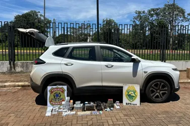 PF e BPFron apreendem medicamentos e anabolizantes avaliados em R$ 90 mil em Gua&iacute;ra