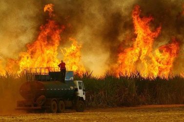 Pandemia gera recomendação para suspensão da queima da cana-de-açúcar na região