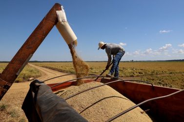 Santa Isabel do Ivaí lidera produtividade do arroz irrigado no Paraná