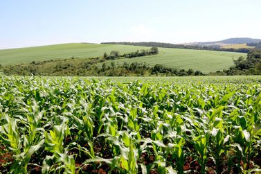 Sistema de Agricultura do Estado orienta produtores sobre uso de fertilizantes