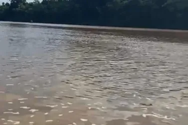 Pescador morre após cair de embarcação e se afogar no Rio Ivaí