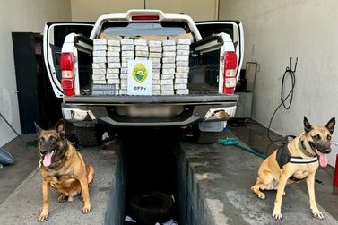PRE apreende 64 quilos de droga escondida em caminhonete, em Nova Olímpia