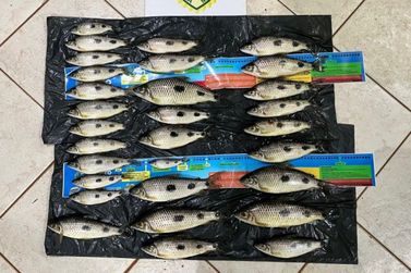Pol&iacute;cia Ambiental prende homens com peixes abaixo do tamanho permitido no Rio Paran&aacute;